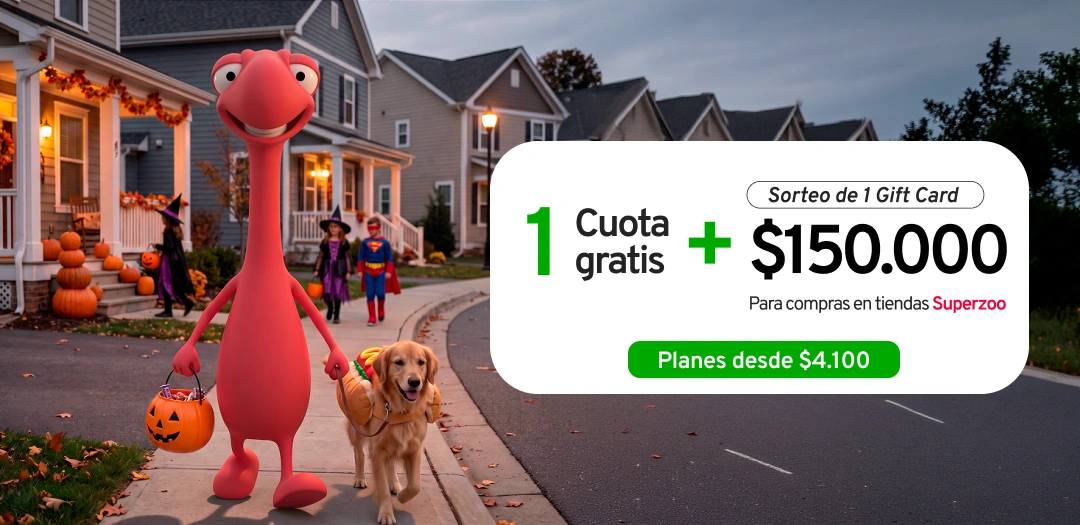 Rojo paseando a perro mientras hacen dulce o travesura