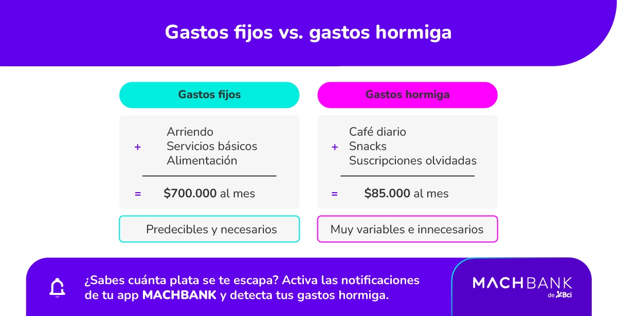 Mach Prespuesto Mensual 1