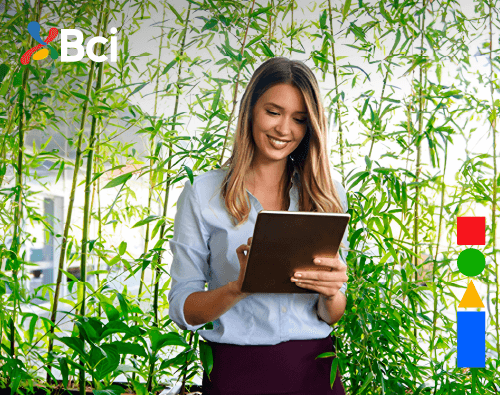 Lanzamos segundo Informe ASG de Corredora de Bolsa