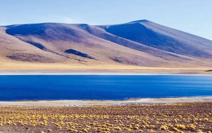 Hasta 30% dcto. en Vuelos Nacionales