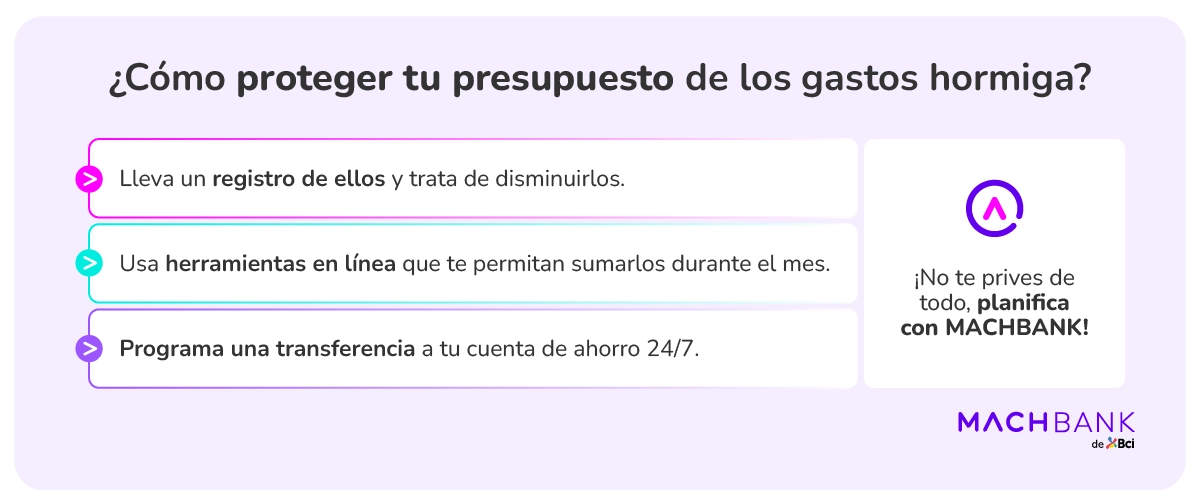 Machbank Gastos Hormiga 2