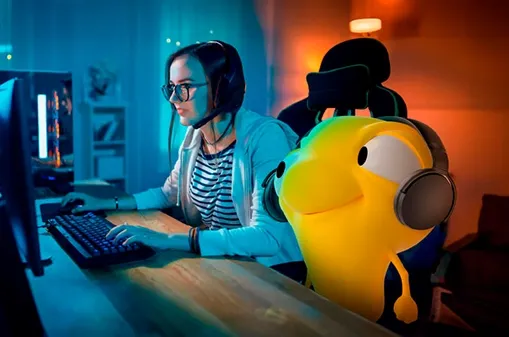 Imagen principal Banner