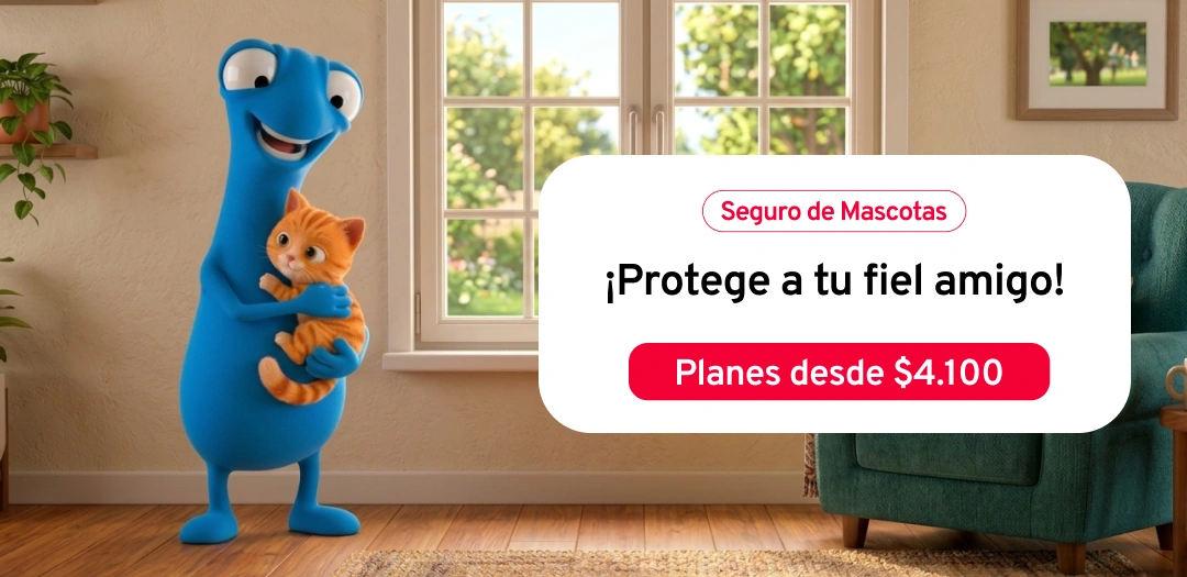 Bann Personas Mascotasagosto